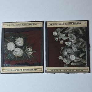 Vintage Glass Lantern Slides / Negatives (2), Flowers